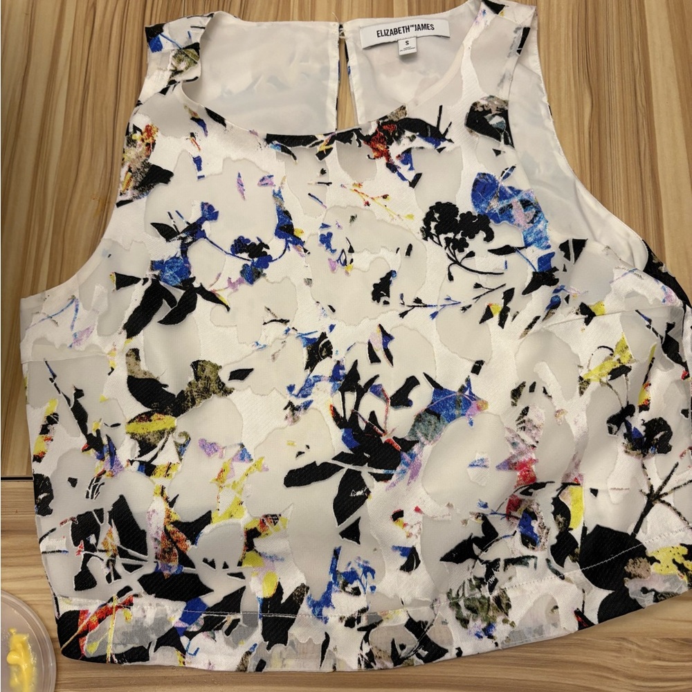 Elizabeth and James Terri Crop Top